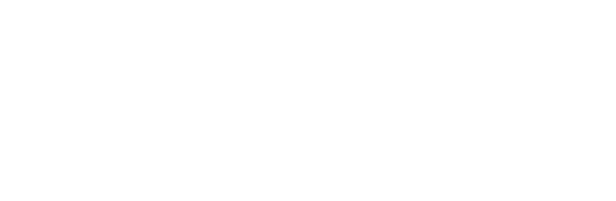 5th-Novel-Conjugates-Summit-Logo-WO-Annual.png