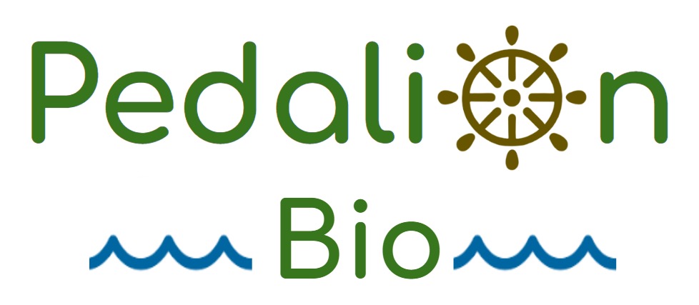 Pendalion bio logo